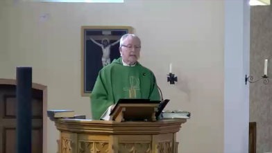 14th SUNDAY HOMILY 2022